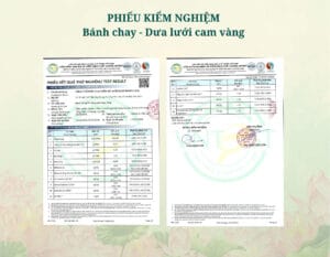 Bánh 150g - Dưa Lưới Cam Vàng dlcv